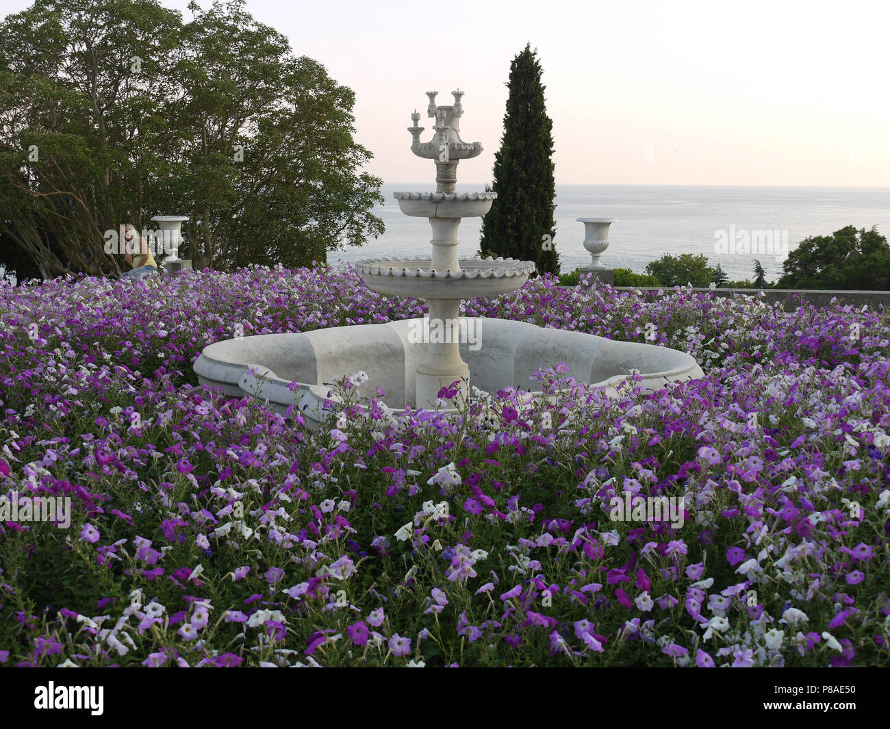 Die blumenbeet ist dicht mit weißen und violetten petuniums rund um den Leerlauf Brunnen am Strand gepflanzt. Für ihr Design Stockfoto