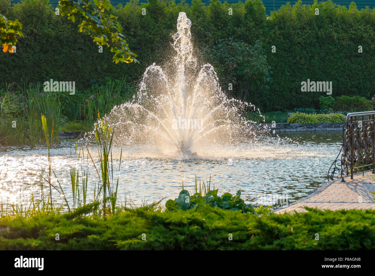 Einen herrlichen Blick auf einen Brunnen in einem Teich mit klarem Wasser mit fliegenden Spritzer Wasser spritzte vor dem hintergrund der grünen Vegetation Stockfoto
