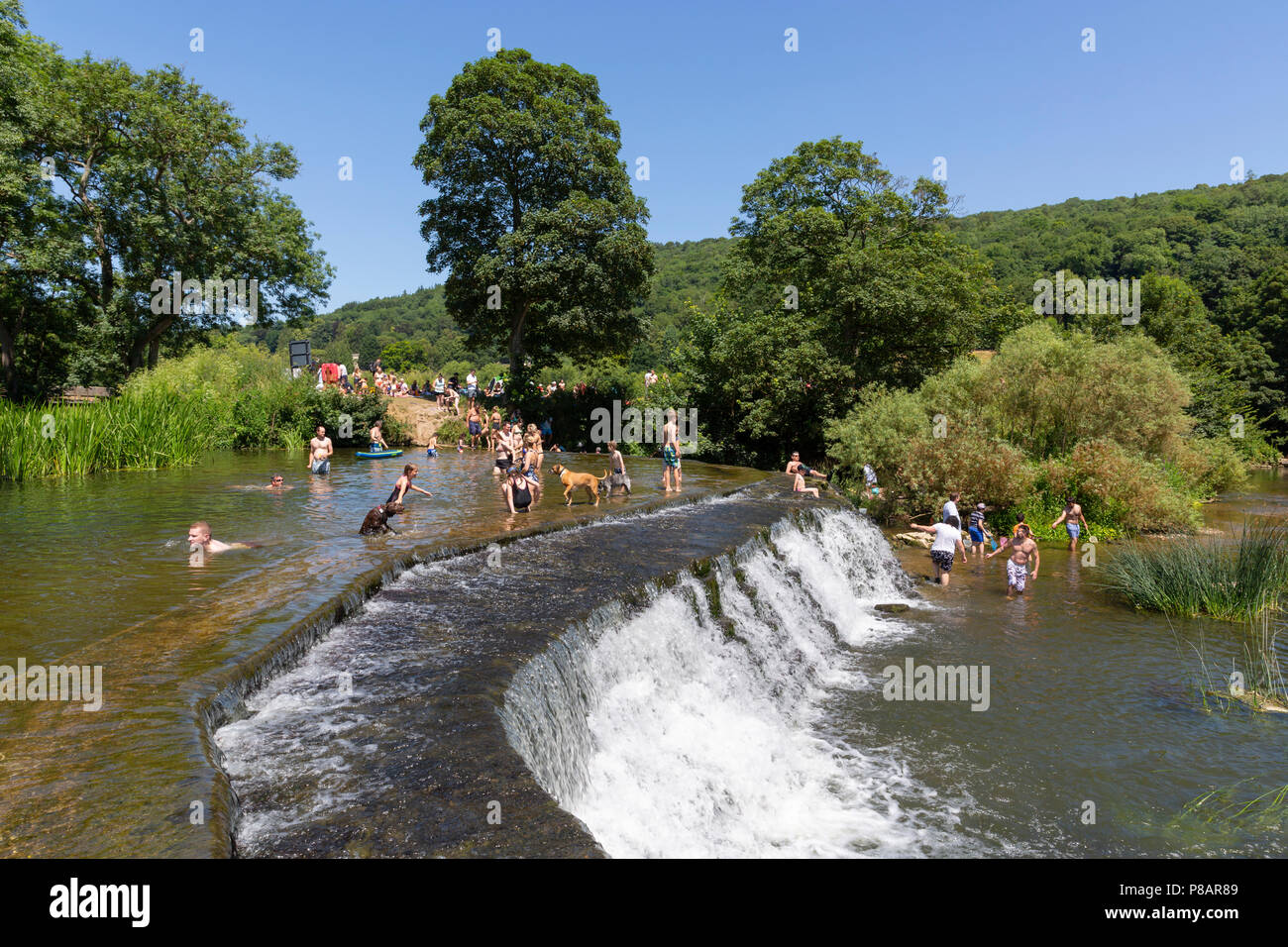 Badewanne, UK - 30. JUNI 2018: Personen, die an einem heißen Tag schwimmen bei Warleigh Wehr, einem beliebten wilden Badeplatz in der Nähe von Claverton in Somerset. Im Sommer er Stockfoto
