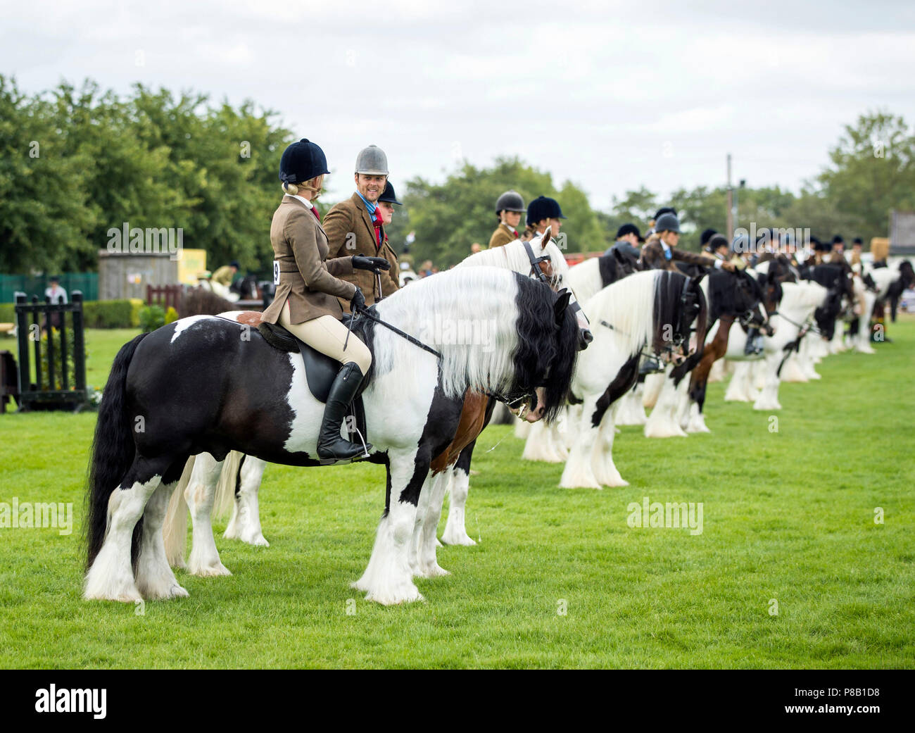 Maiskolben, die an einer Qualifikationsrunde für das Pferd des Jahres am Tag der Einweihung der großen Yorkshire Show in Harrogate. Stockfoto