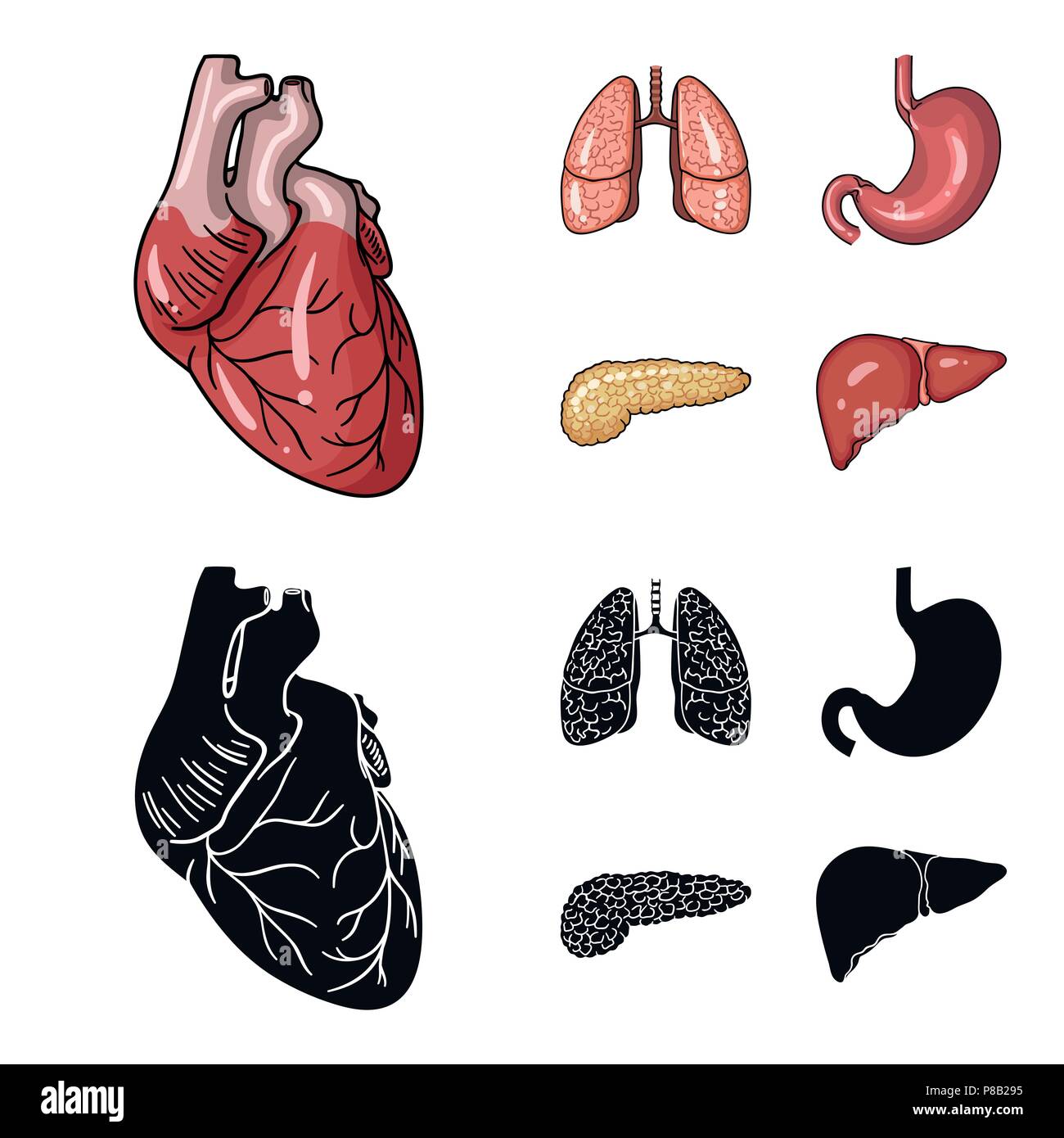 Herz, Lunge, Magen, Bauchspeicheldrüse. Menschliche Organe Sammlung Icons in Cartoon Set schwarz Stil vektor Symbol lieferbar Abbildung. Stock Vektor