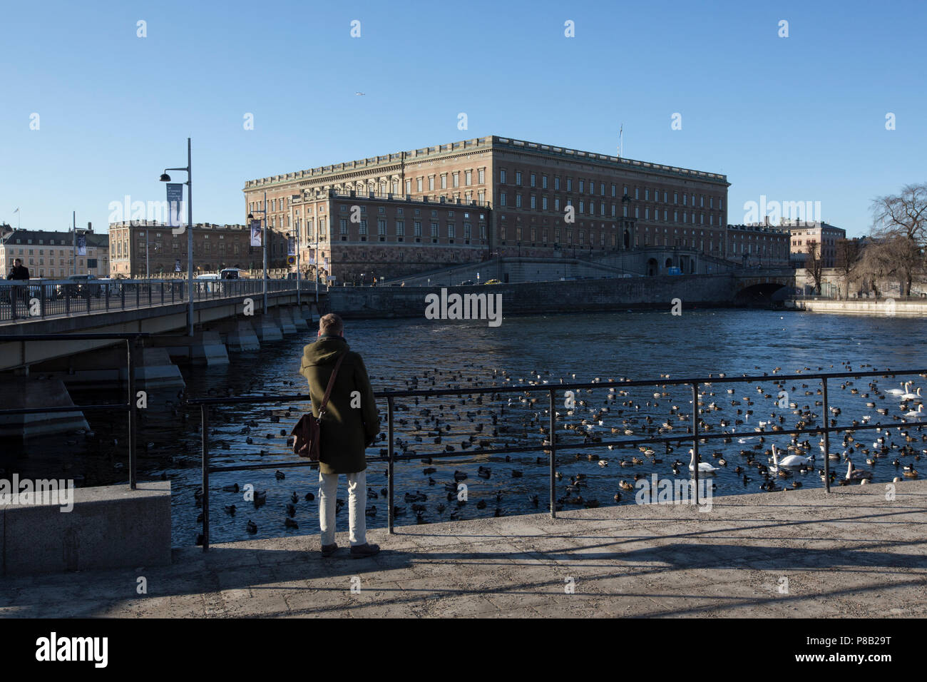 Strömgatan läuft parallell zu Lilla Värtan, Stockholm, Stockholms Län, Schweden das Gebiet ist ein wichtiges Überwinterungsgebiet für mehrere Vogelarten Stockfoto
