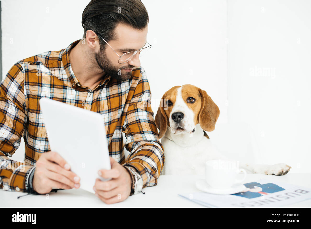 Hund am Tisch sitzen Stockfotografie Alamy Hund am Tisch sitzen Stockfotografie Alamy
