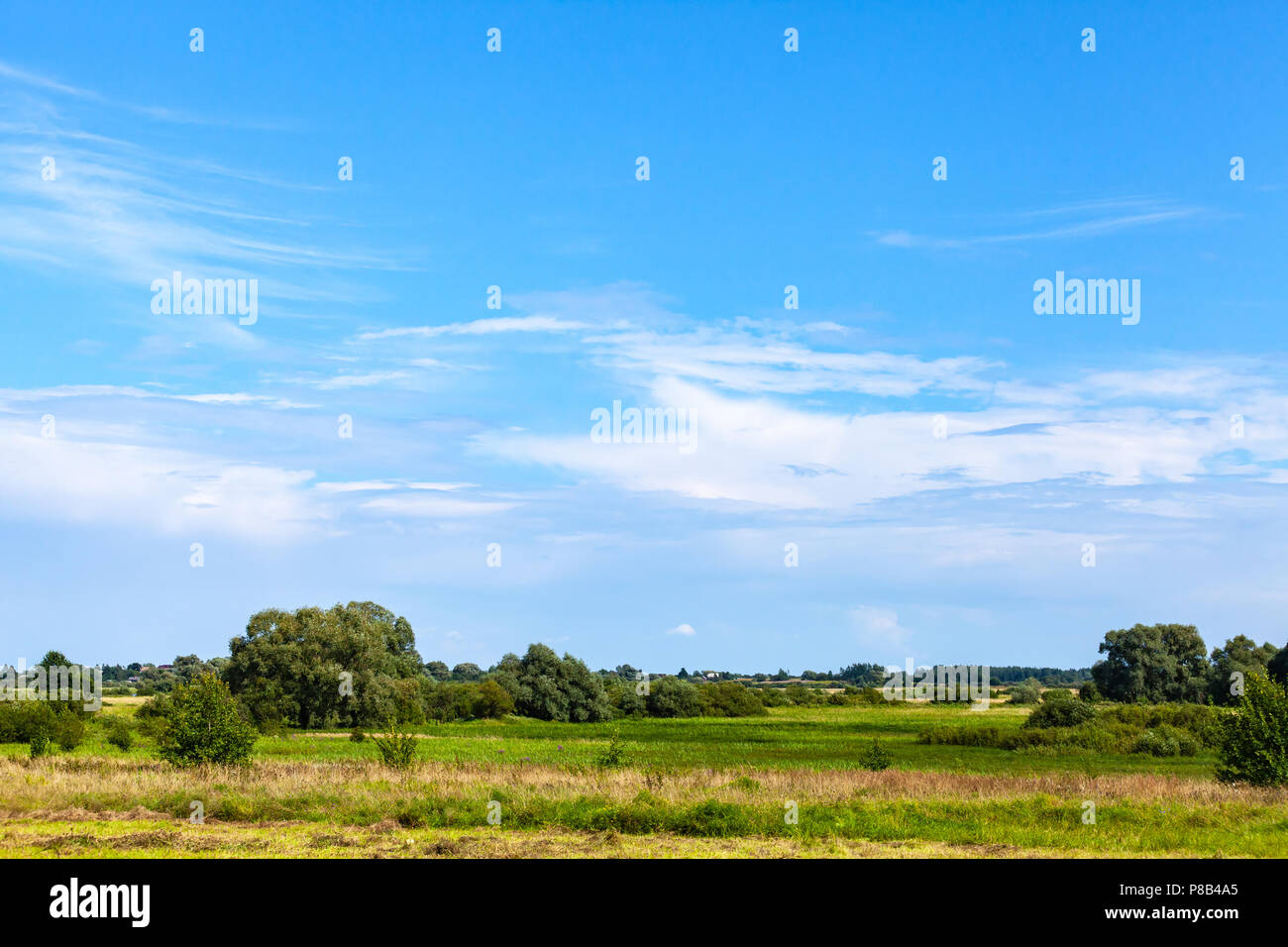 Ländliche russische Landschaft mit Wiesen und Wäldern unter blauen bewölkten Himmel im Sommer Tag. Novgorod oblast, Russland Stockfoto