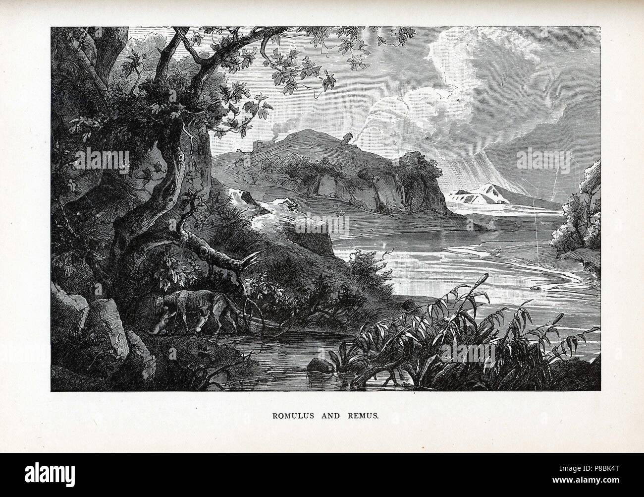 Romulus und Remus. Museum: private Sammlung. Stockfoto