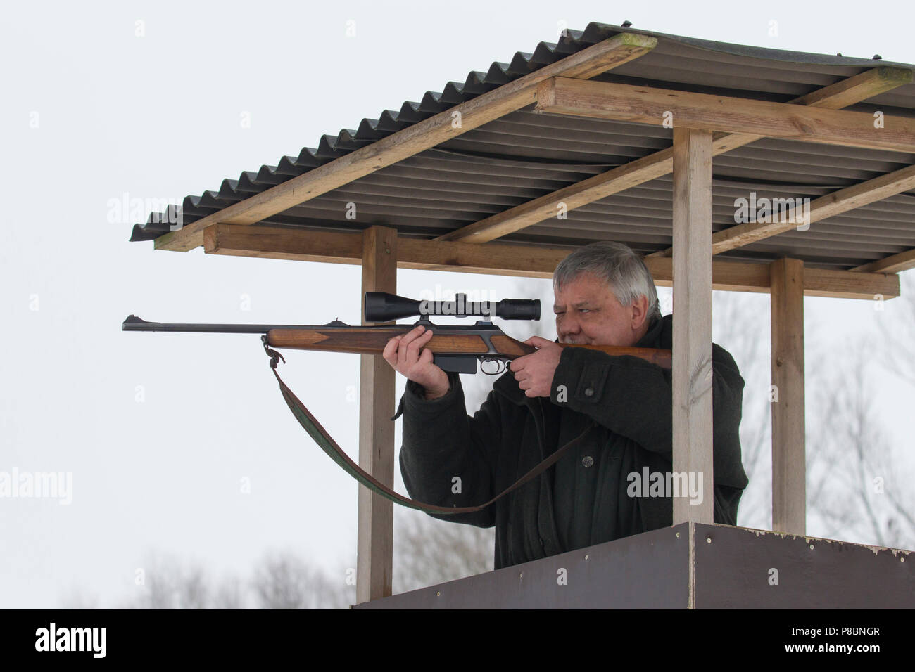 Big Game Hunter im Ansitz zielen und schießen Rehe im Wald während der Jagdzeit Stockfoto