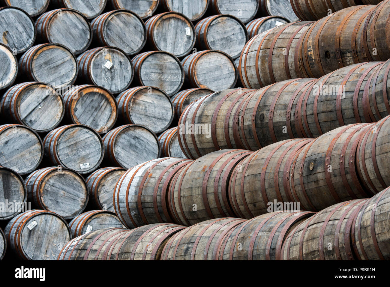 Große Stapel von weggeworfenen Whisky Fässern/Barrel auf Speyside Böttcherei, Craigellachie, Aberlour, Banffshire, Grampian, Schottland, Großbritannien Stockfoto