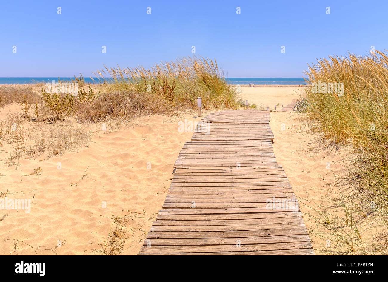 Holz- anschluss Weg durch weichen, goldenen Sand und Strand Gras auf den blauen Himmel und das Meer am Strand von Isla Canela, Ayamonte, Andalusien, Spanien Stockfoto