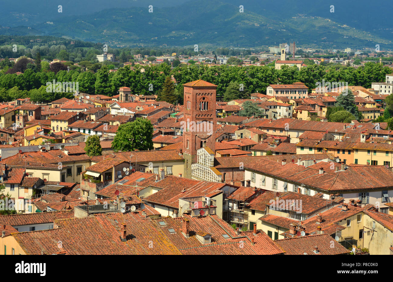 Lucca Altstadt Panorama mit mittelalterlichen St. Peter Kirche Stockfoto