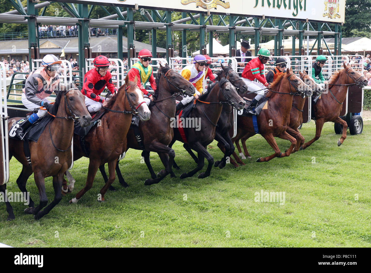 Dresden, Pferde und Jockeys am Start Stockfoto