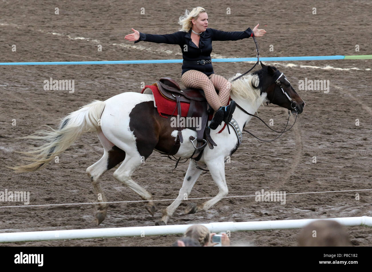 Gestüt Ganschow, Diagramm, Trick, Reiten in vollem Galopp Stockfoto