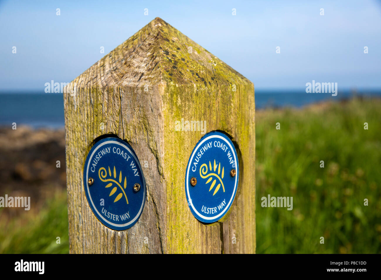 Großbritannien, Nordirland, Co Londonderry, Portstewart, der Berner, Causeway Coast Path post Stockfoto