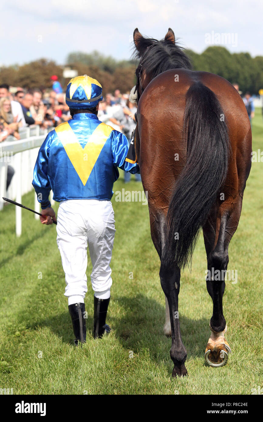 Iffezheim, Jockey führt sein Pferd nach dem Rennen Stockfoto