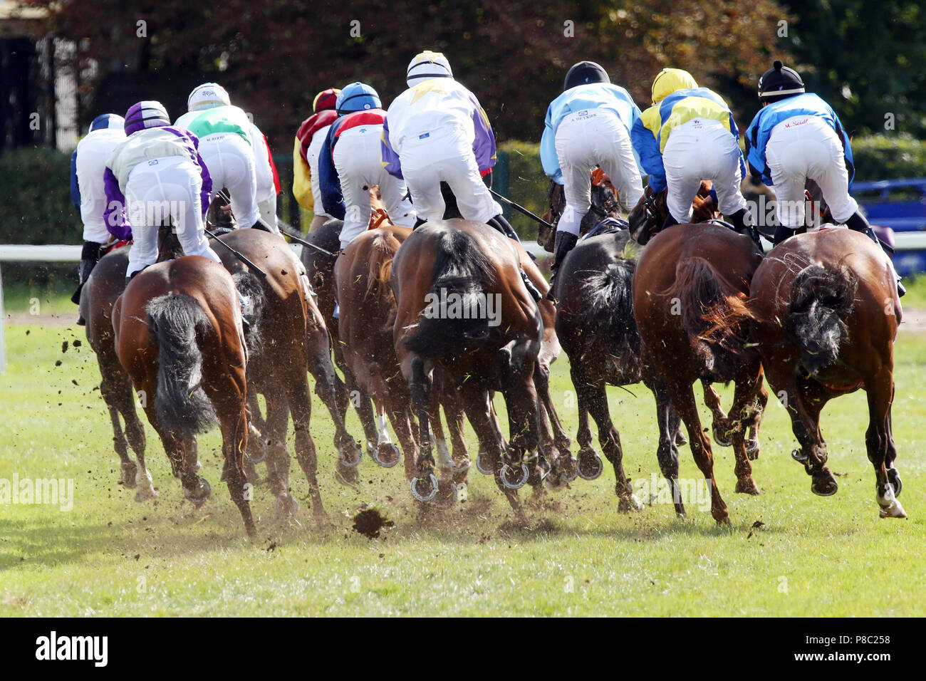 Iffezheim, Pferde und Jockeys im Rennen Stockfoto
