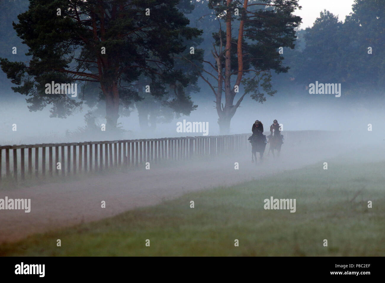 Hoppegarten, Pferde und Reiter am Morgen arbeiten im Nebel Stockfoto