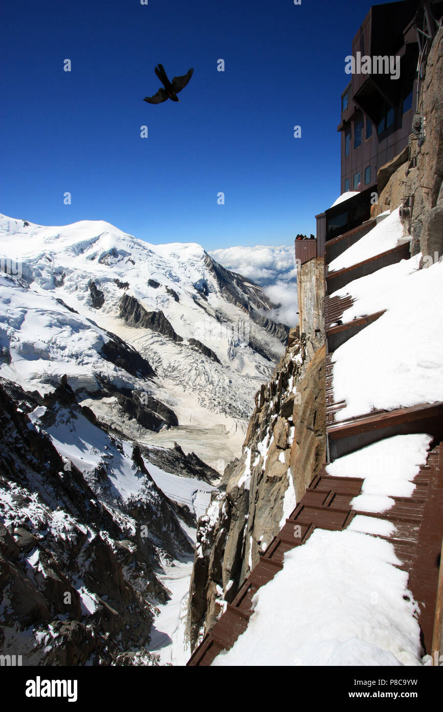 Eine amsel Segelfliegen in die aufwinde, der von den Bergen angelegt. Von der Aussichtsplattform auf der Oberseite des Aiguille-du-Midi in Frankreich gesehen Stockfoto