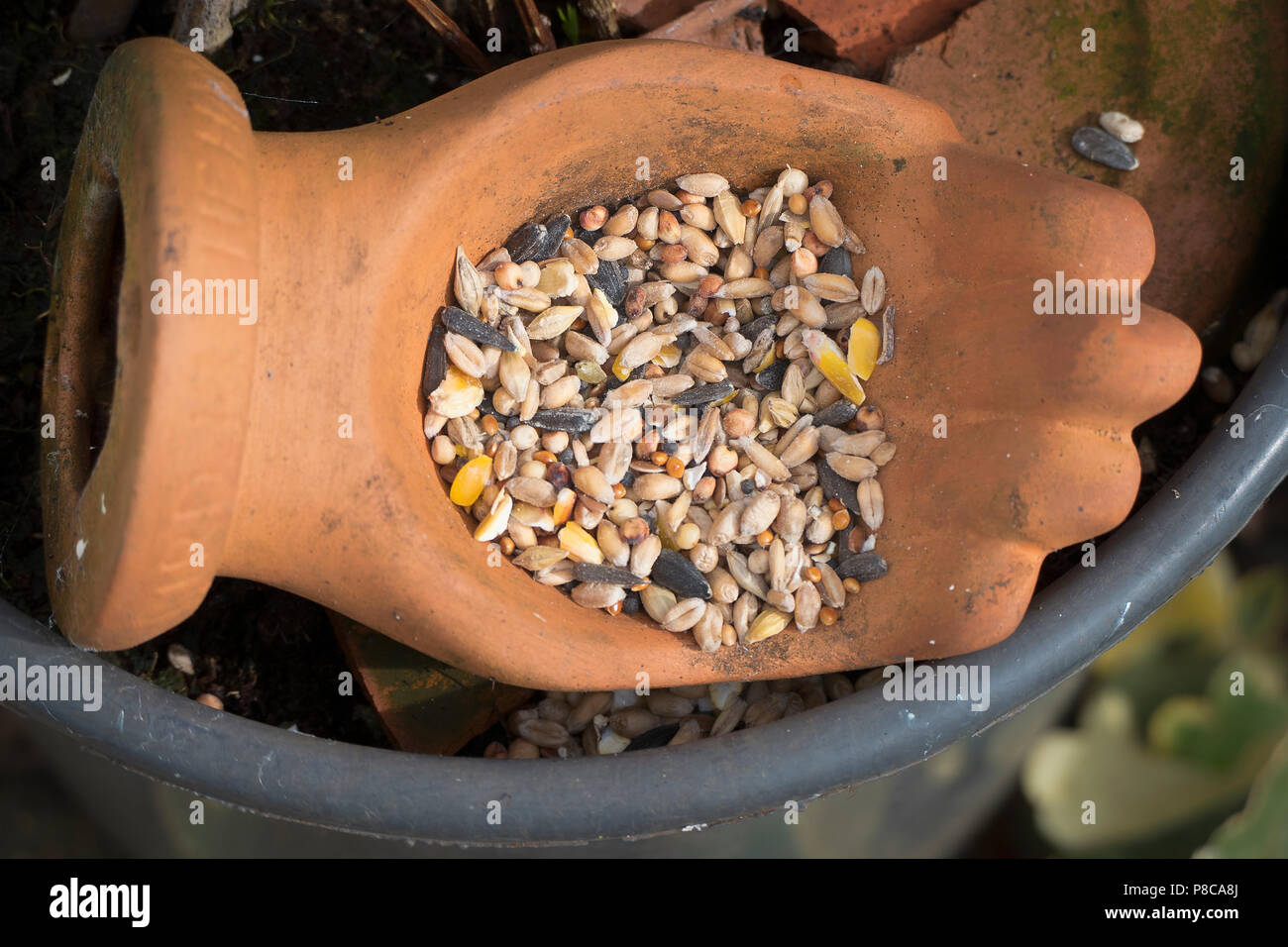 Terrakotta hand Vogelfutter für wild lebende Vogelarten in Großbritannien Stockfoto