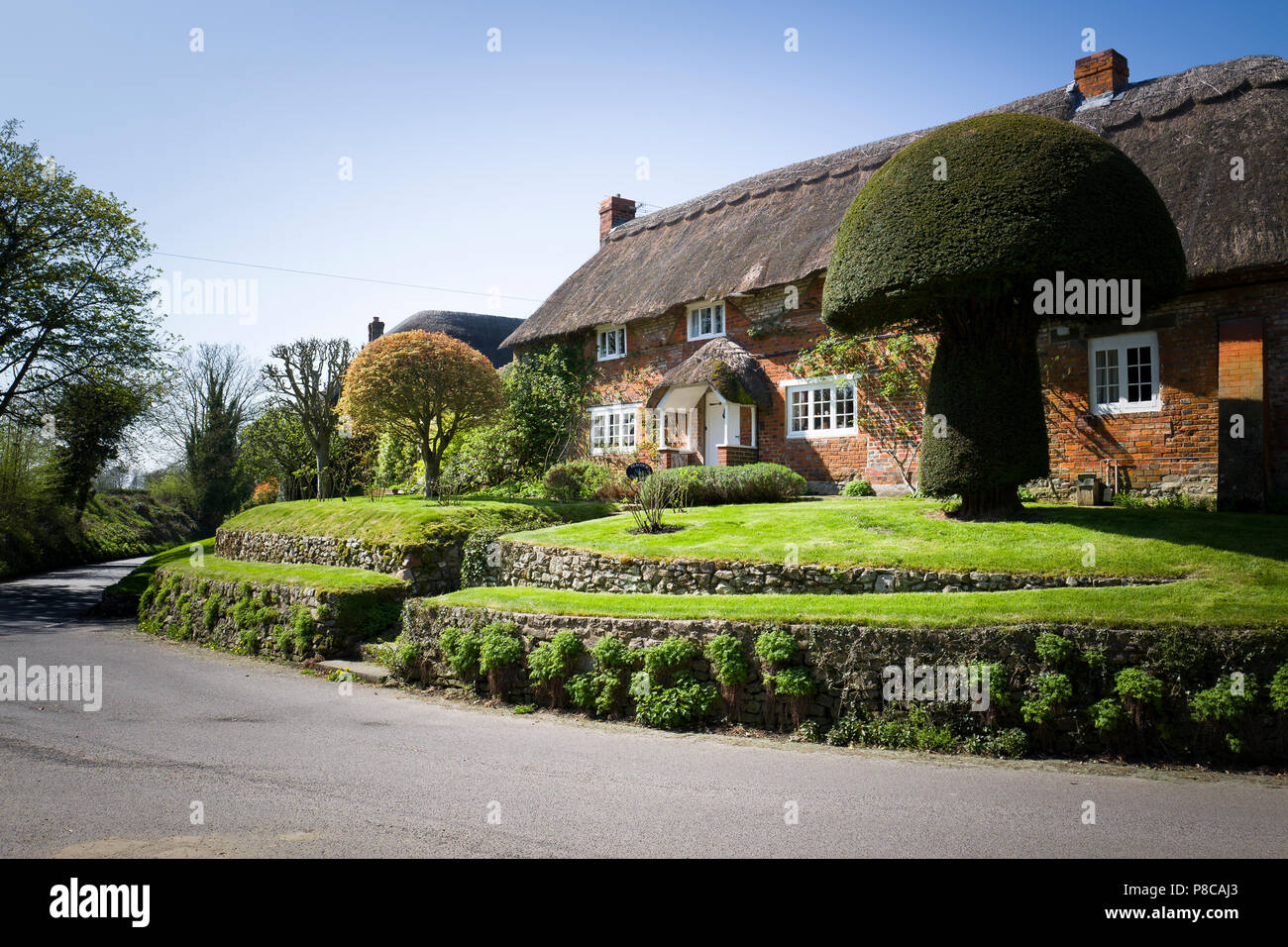 Reetgedeckte Peacock Cottage in Wansborough Wiltshire England Großbritannien Stockfoto