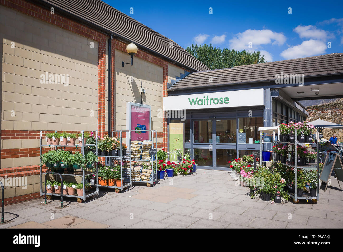 Zeigt der Garten bereit, Topfpflanzen und Garten Verbrauchsmaterialien für Verkauf bei Waitrose in Melksham GROSSBRITANNIEN Stockfoto