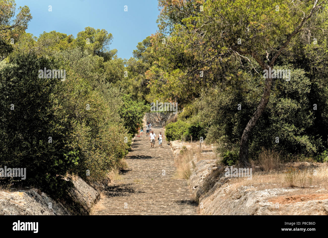 Ein Fußweg vom Schloss Bellver in Palma de Mallorca hinunter durch den Wald in die Stadt. Stockfoto