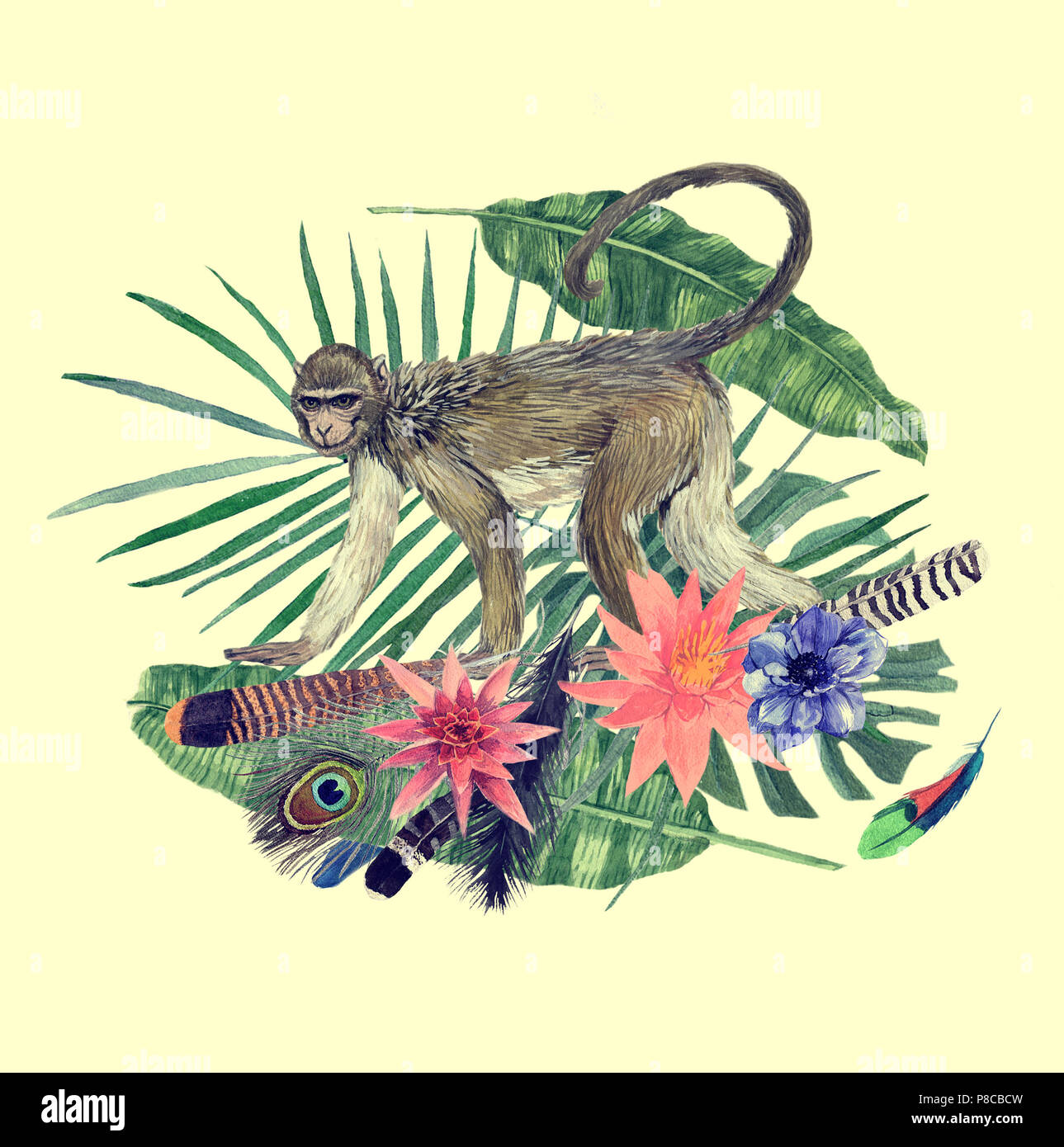 Aquarell handgezeichnete Abbildung mit Monkey, Federn, Blumen. Stockfoto