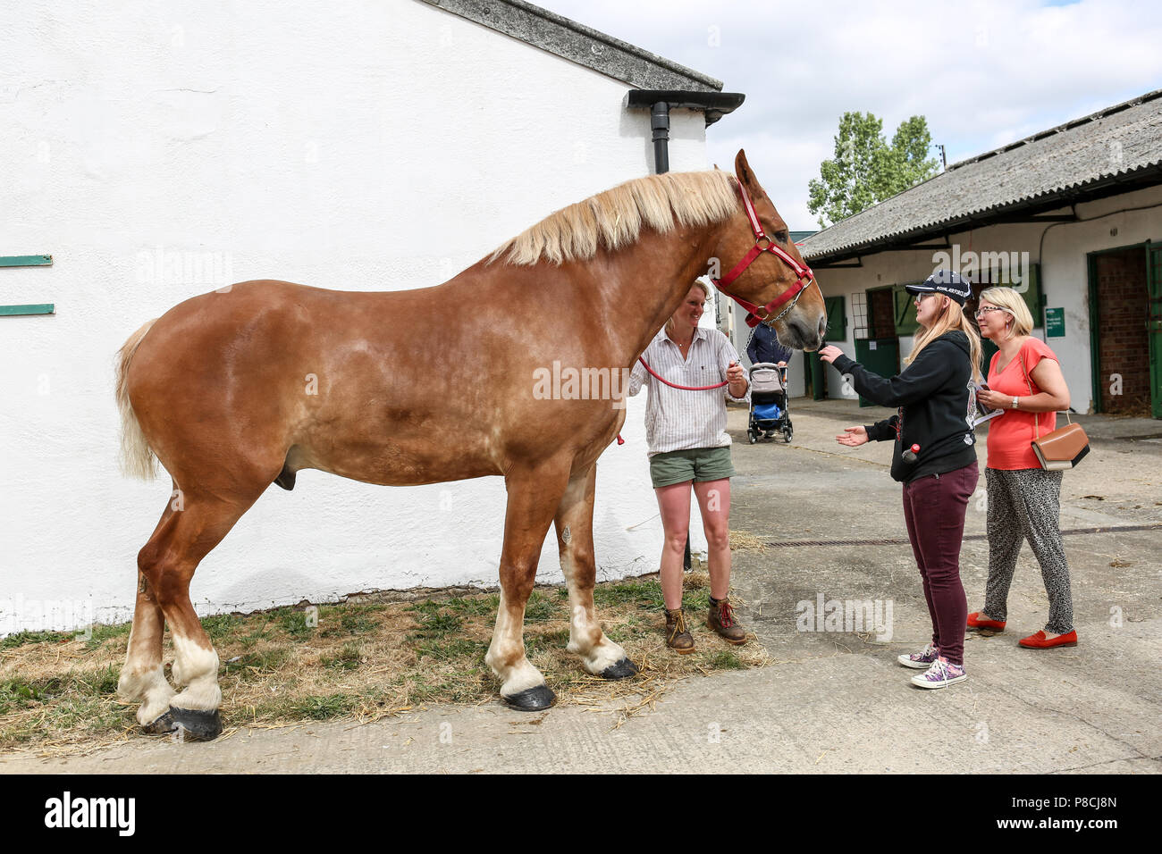 Harrogate, Großbritannien. 10. Juli 2018. Die Teilnehmer während des Großen Yorkshire Tag zeigen 2018 gesehen. Die großen YORKSHIRE zeigen Juli, 2018 Die Große Yorkshire Show ist eine legendäre dreitägige Veranstaltung und eine der größten landwirtschaftlichen Veranstaltungen in der englischen Kalender. Jedes Jahr werden mehr als 130.000 Besucher und über 8.500 Tiere laufen auf der großen Yorkshire Showground in Harrogate zu konkurrieren, Kontakte knüpfen und Feiern. Credit: Rahman Hassani/Alamy leben Nachrichten Stockfoto