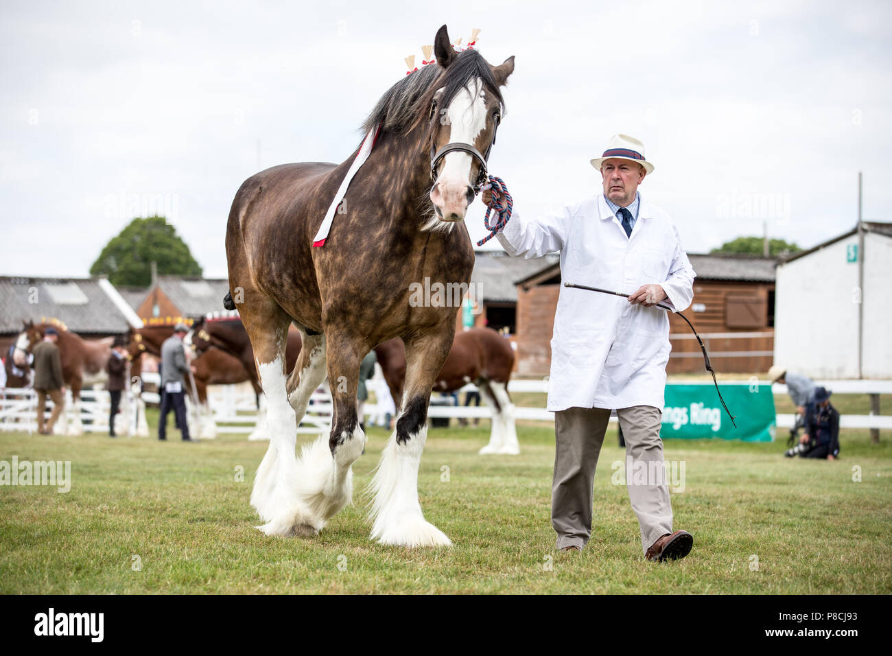Harrogate, Großbritannien. 10. Juli 2018. Die Teilnehmer während des Großen Yorkshire Tag zeigen 2018 gesehen. Die großen YORKSHIRE zeigen Juli, 2018 Die Große Yorkshire Show ist eine legendäre dreitägige Veranstaltung und eine der größten landwirtschaftlichen Veranstaltungen in der englischen Kalender. Jedes Jahr werden mehr als 130.000 Besucher und über 8.500 Tiere laufen auf der großen Yorkshire Showground in Harrogate zu konkurrieren, Kontakte knüpfen und Feiern. Credit: Rahman Hassani/Alamy leben Nachrichten Stockfoto