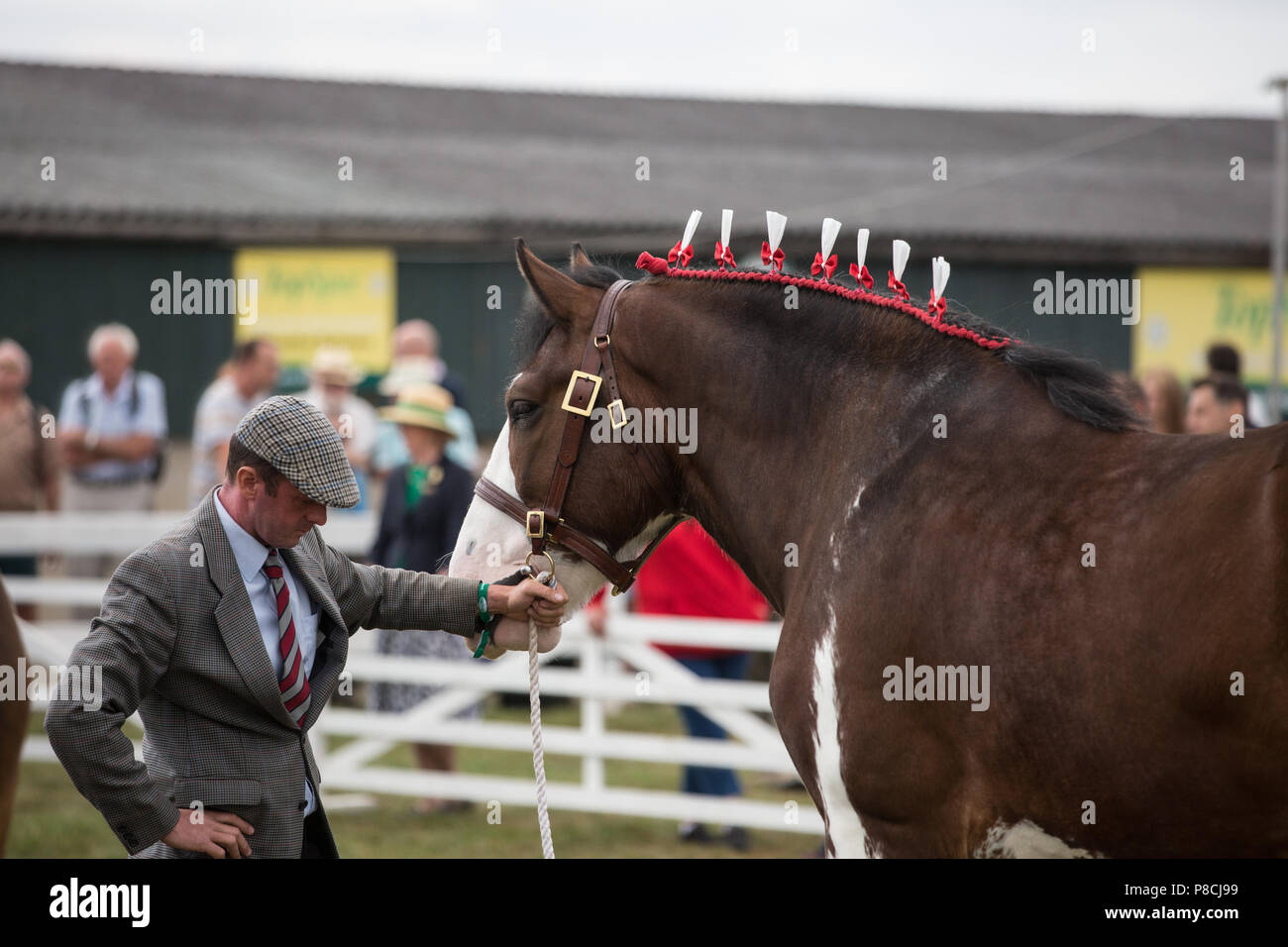 Harrogate, Großbritannien. 10. Juli 2018. Die Teilnehmer während des Großen Yorkshire Tag zeigen 2018 gesehen. Die großen YORKSHIRE zeigen Juli, 2018 Die Große Yorkshire Show ist eine legendäre dreitägige Veranstaltung und eine der größten landwirtschaftlichen Veranstaltungen in der englischen Kalender. Jedes Jahr werden mehr als 130.000 Besucher und über 8.500 Tiere laufen auf der großen Yorkshire Showground in Harrogate zu konkurrieren, Kontakte knüpfen und Feiern. Credit: Rahman Hassani/Alamy leben Nachrichten Stockfoto