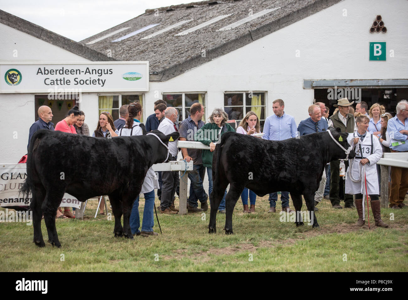 Harrogate, Großbritannien. 10. Juli 2018. Die Teilnehmer während des Großen Yorkshire Tag zeigen 2018 gesehen. Die großen YORKSHIRE zeigen Juli, 2018 Die Große Yorkshire Show ist eine legendäre dreitägige Veranstaltung und eine der größten landwirtschaftlichen Veranstaltungen in der englischen Kalender. Jedes Jahr werden mehr als 130.000 Besucher und über 8.500 Tiere laufen auf der großen Yorkshire Showground in Harrogate zu konkurrieren, Kontakte knüpfen und Feiern. Credit: Rahman Hassani/Alamy leben Nachrichten Stockfoto