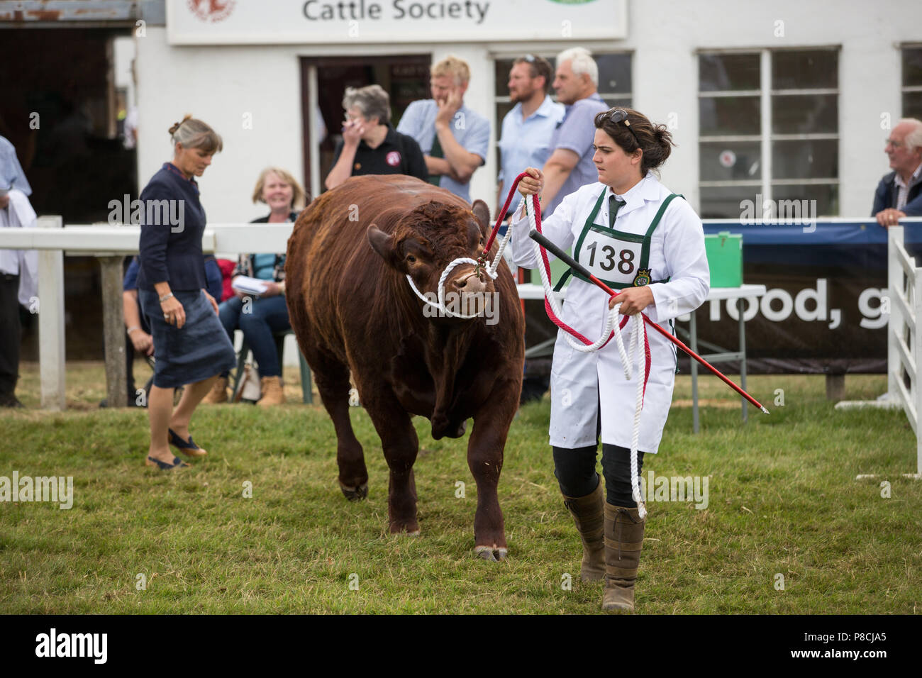 Harrogate, Großbritannien. 10. Juli 2018. Die Teilnehmer während des Großen Yorkshire Tag zeigen 2018 gesehen. Die großen YORKSHIRE zeigen Juli, 2018 Die Große Yorkshire Show ist eine legendäre dreitägige Veranstaltung und eine der größten landwirtschaftlichen Veranstaltungen in der englischen Kalender. Jedes Jahr werden mehr als 130.000 Besucher und über 8.500 Tiere laufen auf der großen Yorkshire Showground in Harrogate zu konkurrieren, Kontakte knüpfen und Feiern. Credit: Rahman Hassani/Alamy leben Nachrichten Stockfoto