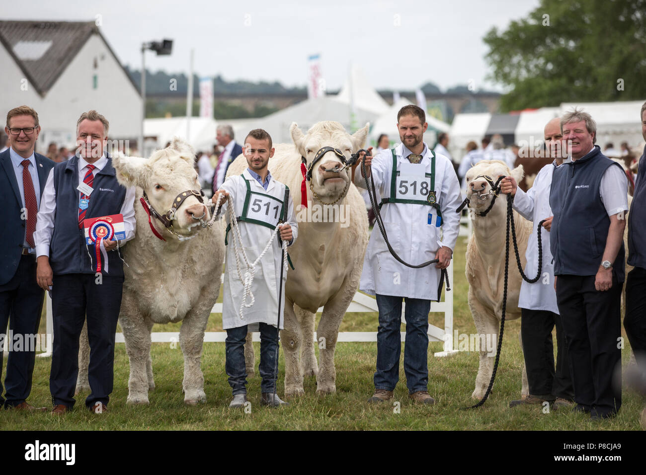 Harrogate, Großbritannien. 10. Juli 2018. Die Teilnehmer während des Großen Yorkshire Tag zeigen 2018 gesehen. Die großen YORKSHIRE zeigen Juli, 2018 Die Große Yorkshire Show ist eine legendäre dreitägige Veranstaltung und eine der größten landwirtschaftlichen Veranstaltungen in der englischen Kalender. Jedes Jahr werden mehr als 130.000 Besucher und über 8.500 Tiere laufen auf der großen Yorkshire Showground in Harrogate zu konkurrieren, Kontakte knüpfen und Feiern. Credit: Rahman Hassani/Alamy leben Nachrichten Stockfoto