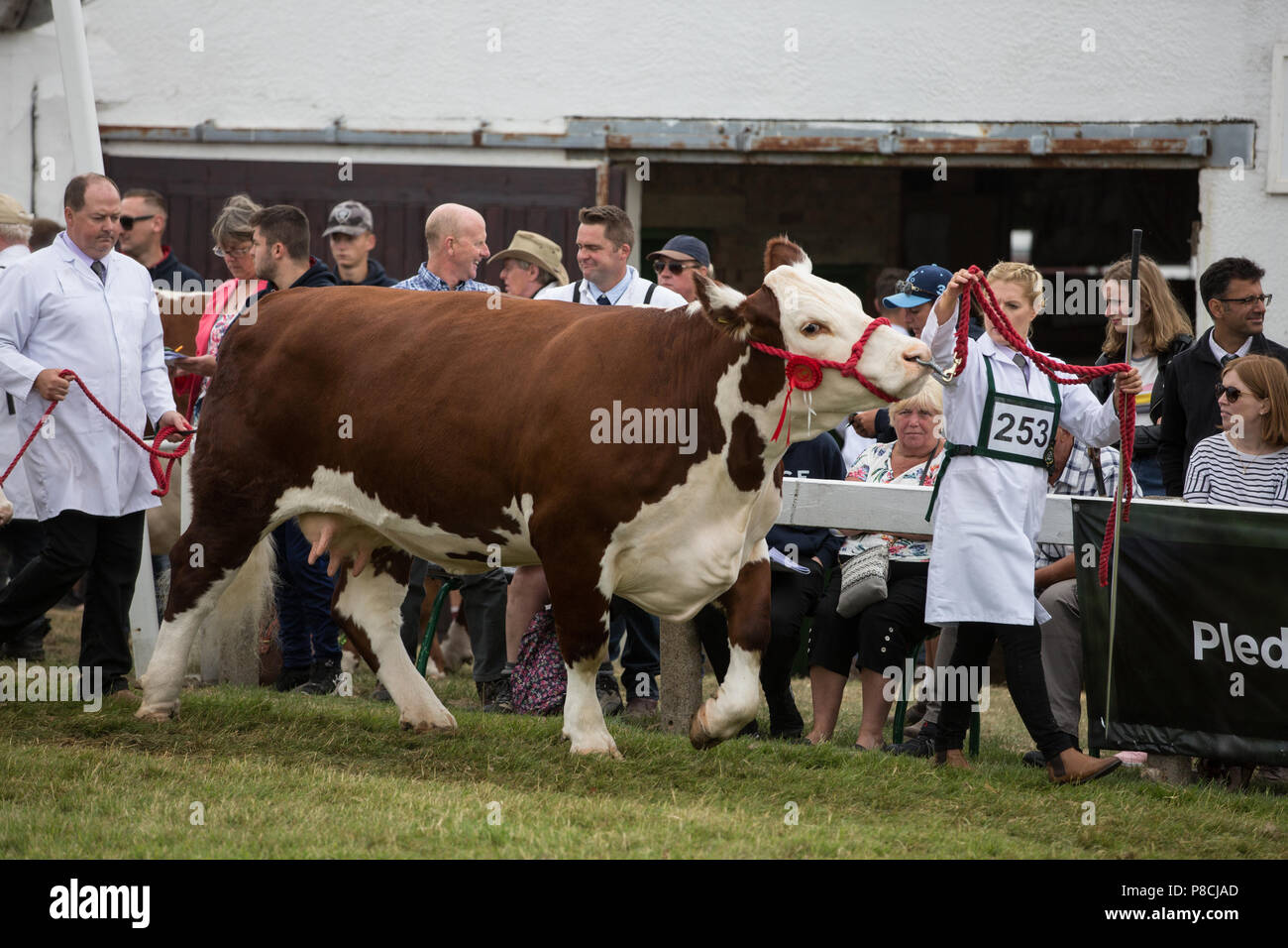 Harrogate, Großbritannien. 10. Juli 2018. Die Teilnehmer während des Großen Yorkshire Tag zeigen 2018 gesehen. Die großen YORKSHIRE zeigen Juli, 2018 Die Große Yorkshire Show ist eine legendäre dreitägige Veranstaltung und eine der größten landwirtschaftlichen Veranstaltungen in der englischen Kalender. Jedes Jahr werden mehr als 130.000 Besucher und über 8.500 Tiere laufen auf der großen Yorkshire Showground in Harrogate zu konkurrieren, Kontakte knüpfen und Feiern. Credit: Rahman Hassani/Alamy leben Nachrichten Stockfoto