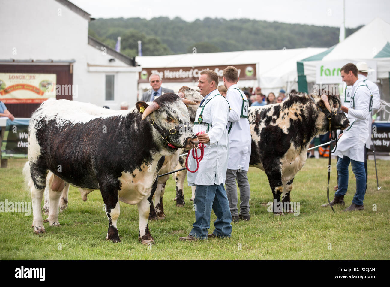 Harrogate, Großbritannien. 10. Juli 2018. Die Teilnehmer während des Großen Yorkshire Tag zeigen 2018 gesehen. Die großen YORKSHIRE zeigen Juli, 2018 Die Große Yorkshire Show ist eine legendäre dreitägige Veranstaltung und eine der größten landwirtschaftlichen Veranstaltungen in der englischen Kalender. Jedes Jahr werden mehr als 130.000 Besucher und über 8.500 Tiere laufen auf der großen Yorkshire Showground in Harrogate zu konkurrieren, Kontakte knüpfen und Feiern. Credit: Rahman Hassani/Alamy leben Nachrichten Stockfoto