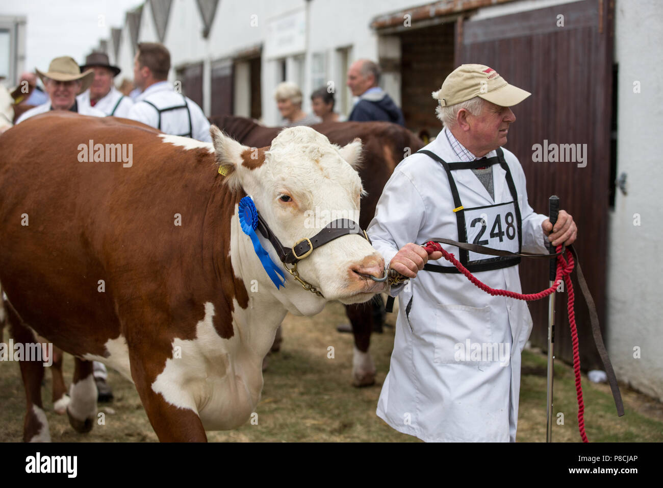 Harrogate, Großbritannien. 10. Juli 2018. Die Teilnehmer während des Großen Yorkshire Tag zeigen 2018 gesehen. Die großen YORKSHIRE zeigen Juli, 2018 Die Große Yorkshire Show ist eine legendäre dreitägige Veranstaltung und eine der größten landwirtschaftlichen Veranstaltungen in der englischen Kalender. Jedes Jahr werden mehr als 130.000 Besucher und über 8.500 Tiere laufen auf der großen Yorkshire Showground in Harrogate zu konkurrieren, Kontakte knüpfen und Feiern. Credit: Rahman Hassani/Alamy leben Nachrichten Stockfoto