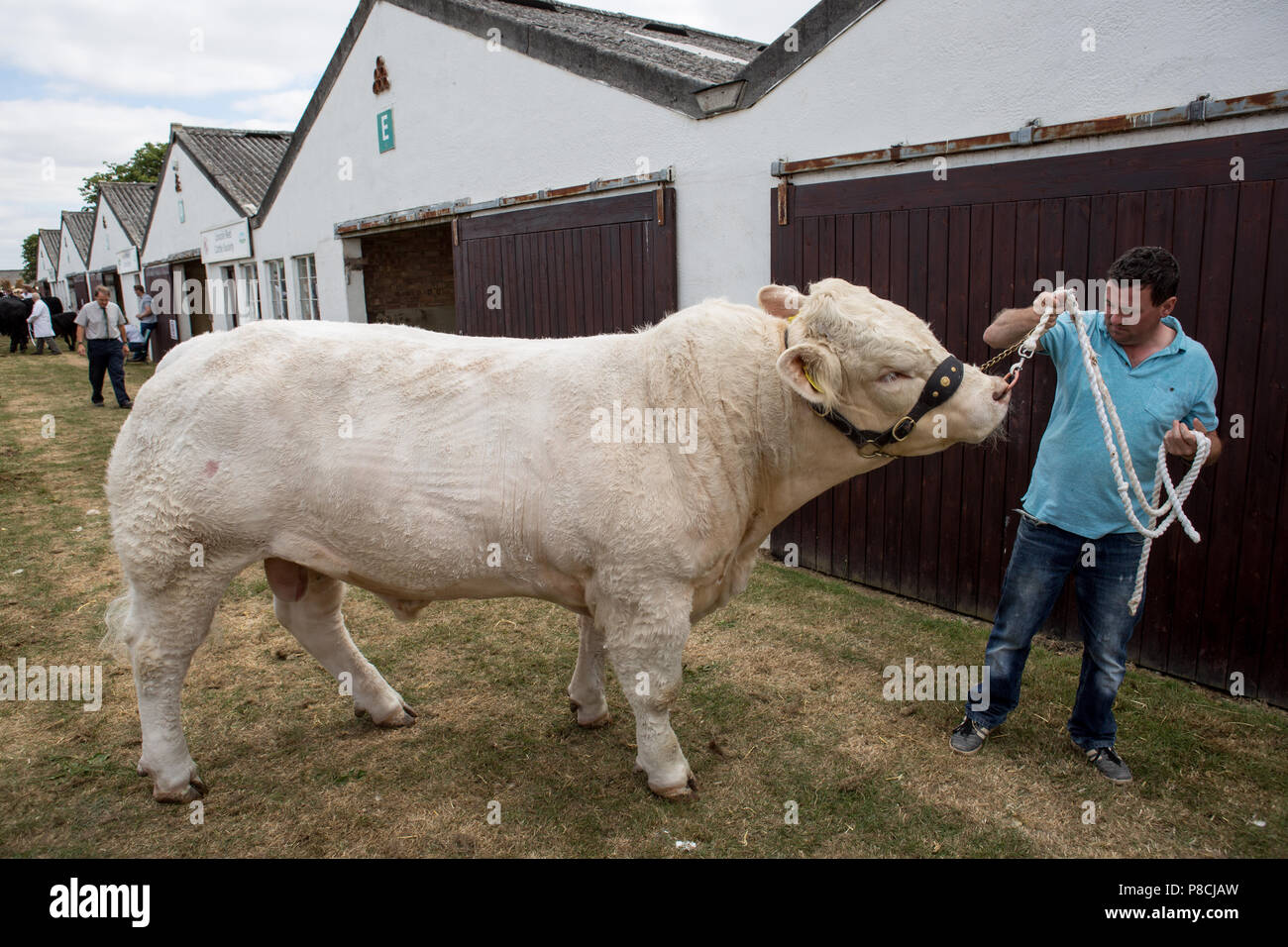 Harrogate, Großbritannien. 10. Juli 2018. Die Teilnehmer während des Großen Yorkshire Tag zeigen 2018 gesehen. Die großen YORKSHIRE zeigen Juli, 2018 Die Große Yorkshire Show ist eine legendäre dreitägige Veranstaltung und eine der größten landwirtschaftlichen Veranstaltungen in der englischen Kalender. Jedes Jahr werden mehr als 130.000 Besucher und über 8.500 Tiere laufen auf der großen Yorkshire Showground in Harrogate zu konkurrieren, Kontakte knüpfen und Feiern. Credit: Rahman Hassani/Alamy leben Nachrichten Stockfoto