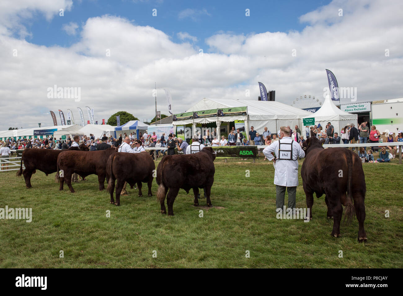 Harrogate, Großbritannien. 10. Juli 2018. Die Teilnehmer während des Großen Yorkshire Tag zeigen 2018 gesehen. Die großen YORKSHIRE zeigen Juli, 2018 Die Große Yorkshire Show ist eine legendäre dreitägige Veranstaltung und eine der größten landwirtschaftlichen Veranstaltungen in der englischen Kalender. Jedes Jahr werden mehr als 130.000 Besucher und über 8.500 Tiere laufen auf der großen Yorkshire Showground in Harrogate zu konkurrieren, Kontakte knüpfen und Feiern. Credit: Rahman Hassani/Alamy leben Nachrichten Stockfoto