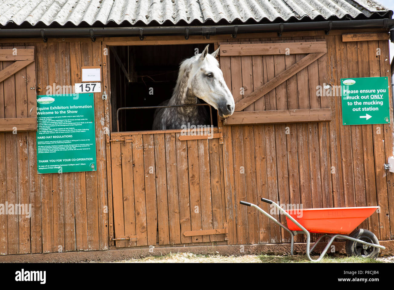 Harrogate, Großbritannien. 10. Juli 2018. Die Teilnehmer während des Großen Yorkshire Tag zeigen 2018 gesehen. Die großen YORKSHIRE zeigen Juli, 2018 Die Große Yorkshire Show ist eine legendäre dreitägige Veranstaltung und eine der größten landwirtschaftlichen Veranstaltungen in der englischen Kalender. Jedes Jahr werden mehr als 130.000 Besucher und über 8.500 Tiere laufen auf der großen Yorkshire Showground in Harrogate zu konkurrieren, Kontakte knüpfen und Feiern. Credit: Rahman Hassani/Alamy leben Nachrichten Stockfoto