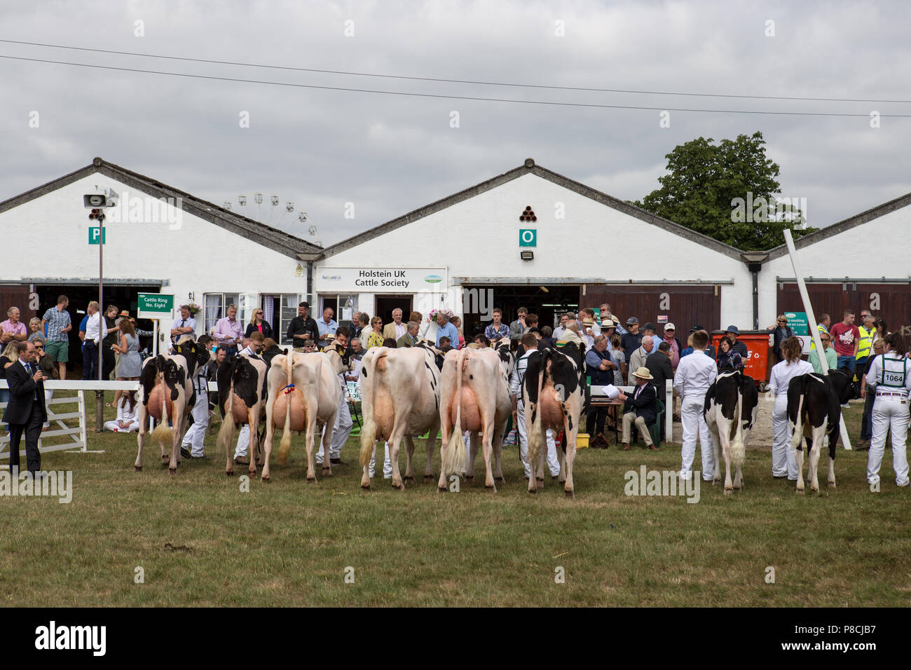 Harrogate, Großbritannien. 10. Juli 2018. Die Teilnehmer während des Großen Yorkshire Tag zeigen 2018 gesehen. Die großen YORKSHIRE zeigen Juli, 2018 Die Große Yorkshire Show ist eine legendäre dreitägige Veranstaltung und eine der größten landwirtschaftlichen Veranstaltungen in der englischen Kalender. Jedes Jahr werden mehr als 130.000 Besucher und über 8.500 Tiere laufen auf der großen Yorkshire Showground in Harrogate zu konkurrieren, Kontakte knüpfen und Feiern. Credit: Rahman Hassani/Alamy leben Nachrichten Stockfoto