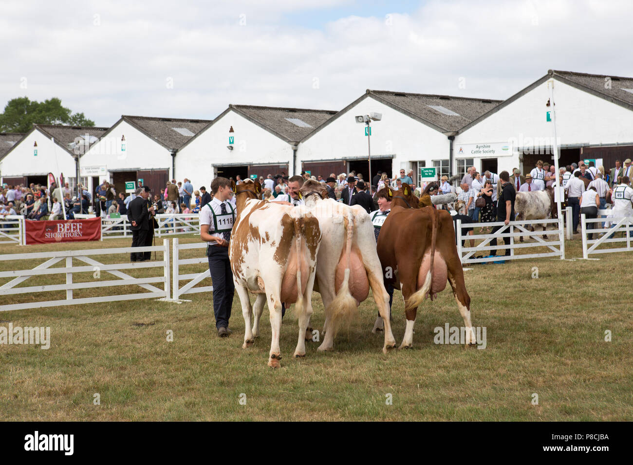 Harrogate, Großbritannien. 10. Juli 2018. Die Teilnehmer während des Großen Yorkshire Tag zeigen 2018 gesehen. Die großen YORKSHIRE zeigen Juli, 2018 Die Große Yorkshire Show ist eine legendäre dreitägige Veranstaltung und eine der größten landwirtschaftlichen Veranstaltungen in der englischen Kalender. Jedes Jahr werden mehr als 130.000 Besucher und über 8.500 Tiere laufen auf der großen Yorkshire Showground in Harrogate zu konkurrieren, Kontakte knüpfen und Feiern. Credit: Rahman Hassani/Alamy leben Nachrichten Stockfoto
