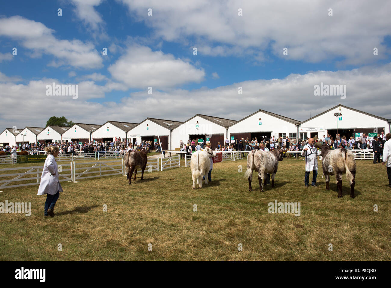 Harrogate, Großbritannien. 10. Juli 2018. Die Teilnehmer während des Großen Yorkshire Tag zeigen 2018 gesehen. Die großen YORKSHIRE zeigen Juli, 2018 Die Große Yorkshire Show ist eine legendäre dreitägige Veranstaltung und eine der größten landwirtschaftlichen Veranstaltungen in der englischen Kalender. Jedes Jahr werden mehr als 130.000 Besucher und über 8.500 Tiere laufen auf der großen Yorkshire Showground in Harrogate zu konkurrieren, Kontakte knüpfen und Feiern. Credit: Rahman Hassani/Alamy leben Nachrichten Stockfoto