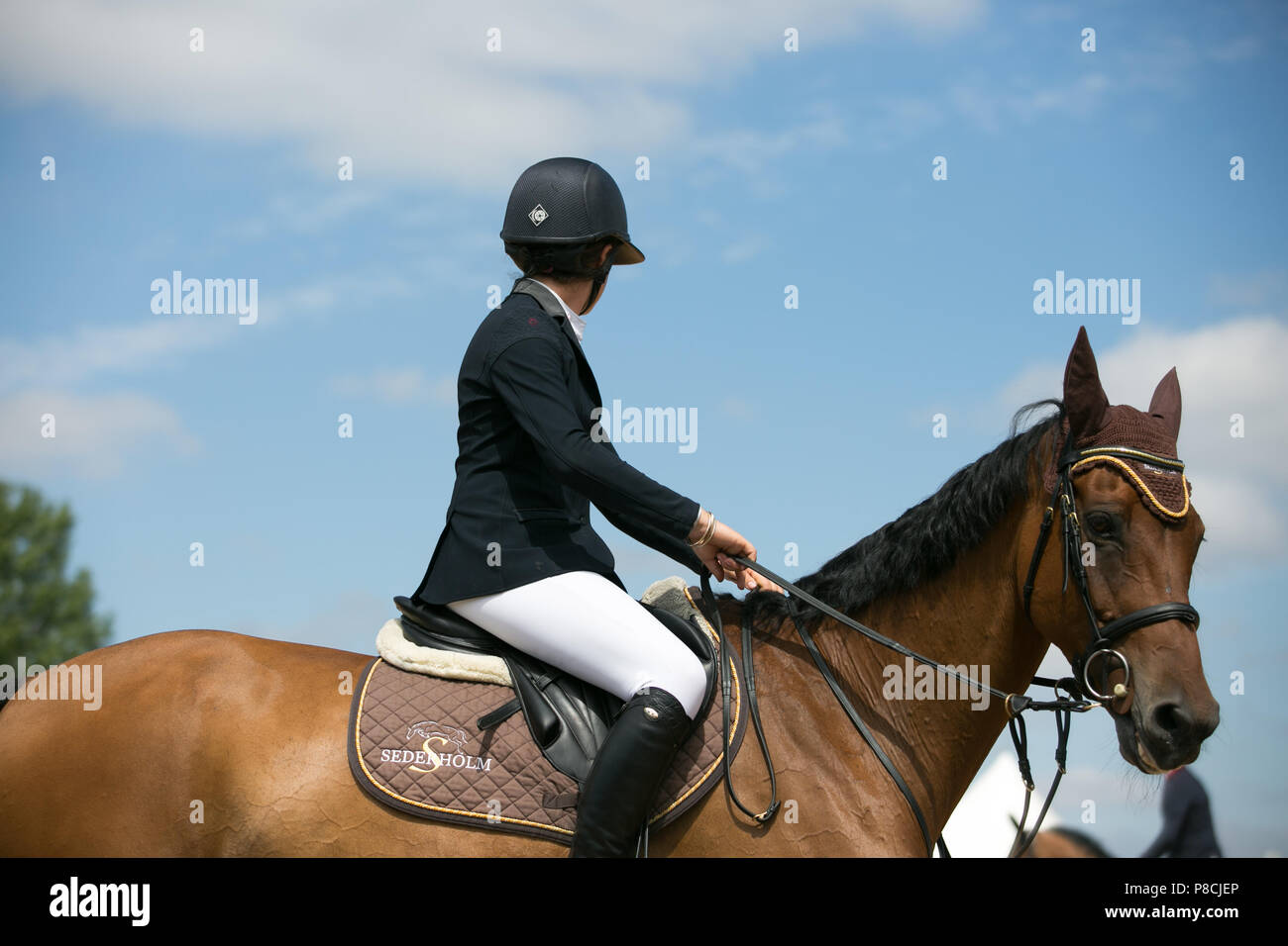 Harrogate, Großbritannien. 10. Juli 2018. Die Teilnehmer während des Großen Yorkshire Tag zeigen 2018 gesehen. Die großen YORKSHIRE zeigen Juli, 2018 Die Große Yorkshire Show ist eine legendäre dreitägige Veranstaltung und eine der größten landwirtschaftlichen Veranstaltungen in der englischen Kalender. Jedes Jahr werden mehr als 130.000 Besucher und über 8.500 Tiere laufen auf der großen Yorkshire Showground in Harrogate zu konkurrieren, Kontakte knüpfen und Feiern. Credit: Rahman Hassani/Alamy leben Nachrichten Stockfoto