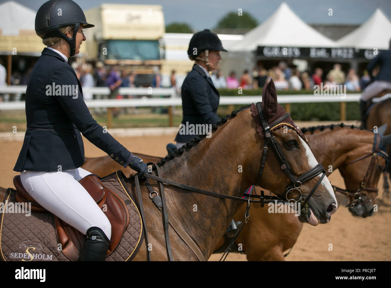 Harrogate, Großbritannien. 10. Juli 2018. Die Teilnehmer während des Großen Yorkshire Tag zeigen 2018 gesehen. Die großen YORKSHIRE zeigen Juli, 2018 Die Große Yorkshire Show ist eine legendäre dreitägige Veranstaltung und eine der größten landwirtschaftlichen Veranstaltungen in der englischen Kalender. Jedes Jahr werden mehr als 130.000 Besucher und über 8.500 Tiere laufen auf der großen Yorkshire Showground in Harrogate zu konkurrieren, Kontakte knüpfen und Feiern. Credit: Rahman Hassani/Alamy leben Nachrichten Stockfoto