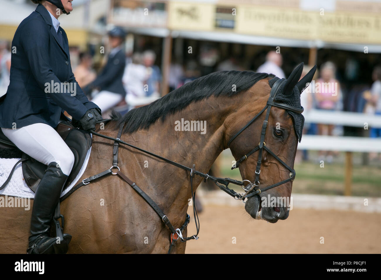 Harrogate, Großbritannien. 10. Juli 2018. Die Teilnehmer während des Großen Yorkshire Tag zeigen 2018 gesehen. Die großen YORKSHIRE zeigen Juli, 2018 Die Große Yorkshire Show ist eine legendäre dreitägige Veranstaltung und eine der größten landwirtschaftlichen Veranstaltungen in der englischen Kalender. Jedes Jahr werden mehr als 130.000 Besucher und über 8.500 Tiere laufen auf der großen Yorkshire Showground in Harrogate zu konkurrieren, Kontakte knüpfen und Feiern. Credit: Rahman Hassani/Alamy leben Nachrichten Stockfoto