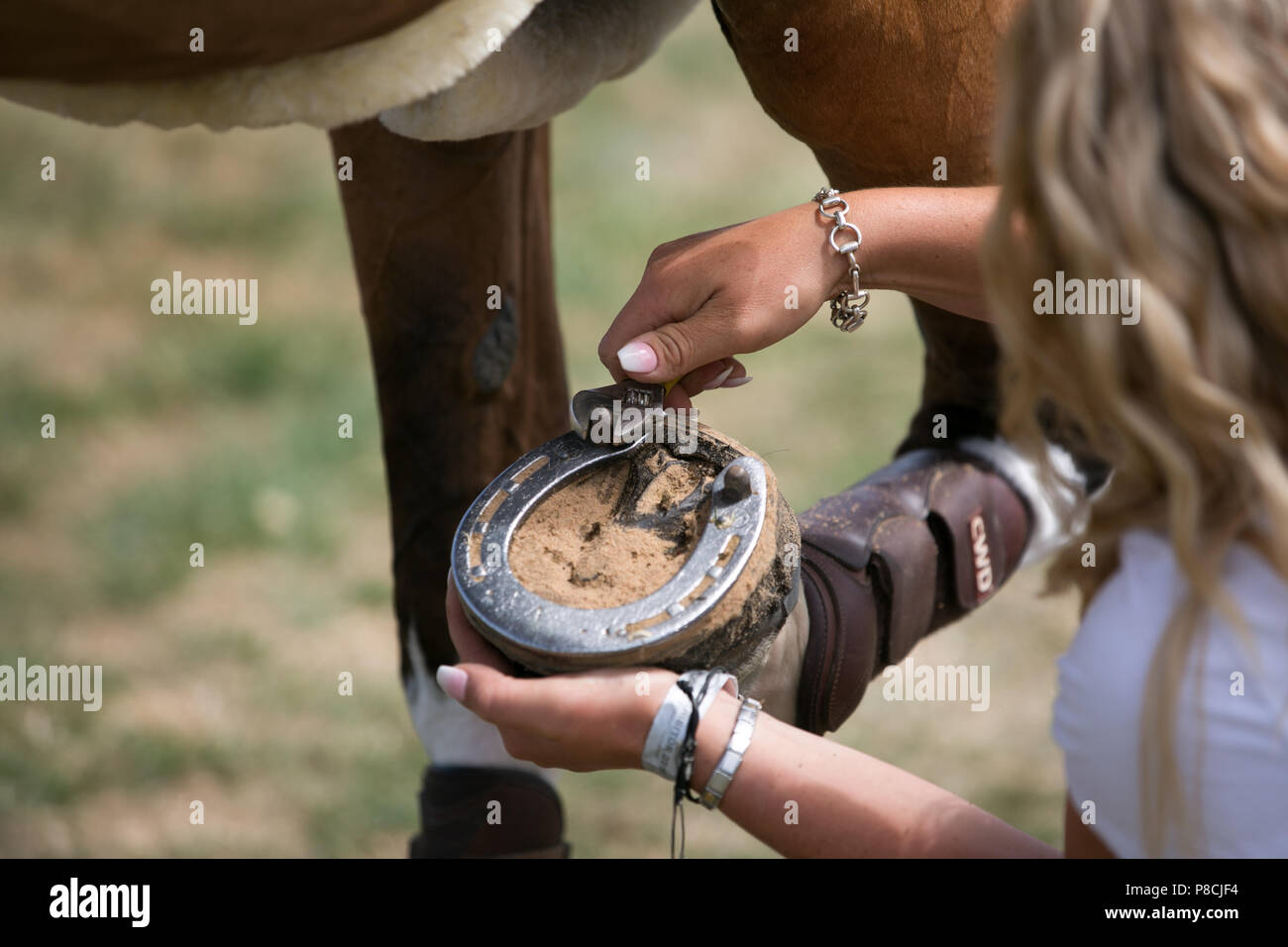 Harrogate, Großbritannien. 10. Juli 2018. Die Teilnehmer während des Großen Yorkshire Tag zeigen 2018 gesehen. Die großen YORKSHIRE zeigen Juli, 2018 Die Große Yorkshire Show ist eine legendäre dreitägige Veranstaltung und eine der größten landwirtschaftlichen Veranstaltungen in der englischen Kalender. Jedes Jahr werden mehr als 130.000 Besucher und über 8.500 Tiere laufen auf der großen Yorkshire Showground in Harrogate zu konkurrieren, Kontakte knüpfen und Feiern. Credit: Rahman Hassani/Alamy leben Nachrichten Stockfoto