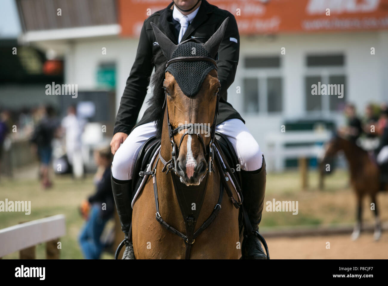 Harrogate, Großbritannien. 10. Juli 2018. Die Teilnehmer während des Großen Yorkshire Tag zeigen 2018 gesehen. Die großen YORKSHIRE zeigen Juli, 2018 Die Große Yorkshire Show ist eine legendäre dreitägige Veranstaltung und eine der größten landwirtschaftlichen Veranstaltungen in der englischen Kalender. Jedes Jahr werden mehr als 130.000 Besucher und über 8.500 Tiere laufen auf der großen Yorkshire Showground in Harrogate zu konkurrieren, Kontakte knüpfen und Feiern. Credit: Rahman Hassani/Alamy leben Nachrichten Stockfoto