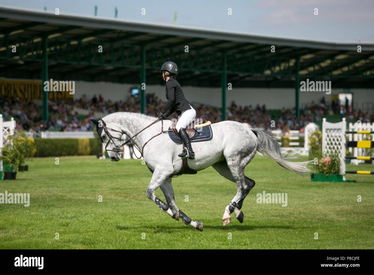 Harrogate, Großbritannien. 10. Juli 2018. Die Teilnehmer während des Großen Yorkshire Tag zeigen 2018 gesehen. Die großen YORKSHIRE zeigen Juli, 2018 Die Große Yorkshire Show ist eine legendäre dreitägige Veranstaltung und eine der größten landwirtschaftlichen Veranstaltungen in der englischen Kalender. Jedes Jahr werden mehr als 130.000 Besucher und über 8.500 Tiere laufen auf der großen Yorkshire Showground in Harrogate zu konkurrieren, Kontakte knüpfen und Feiern. Credit: Rahman Hassani/Alamy leben Nachrichten Stockfoto