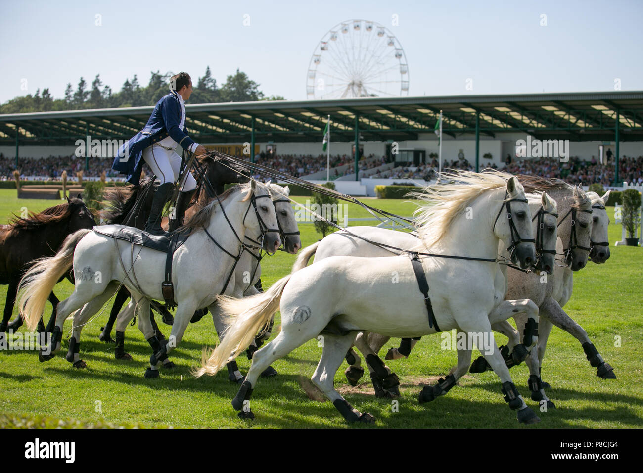 Harrogate, Großbritannien. 10. Juli 2018. Die Teilnehmer während des Großen Yorkshire Tag zeigen 2018 gesehen. Die großen YORKSHIRE zeigen Juli, 2018 Die Große Yorkshire Show ist eine legendäre dreitägige Veranstaltung und eine der größten landwirtschaftlichen Veranstaltungen in der englischen Kalender. Jedes Jahr werden mehr als 130.000 Besucher und über 8.500 Tiere laufen auf der großen Yorkshire Showground in Harrogate zu konkurrieren, Kontakte knüpfen und Feiern. Credit: Rahman Hassani/Alamy leben Nachrichten Stockfoto