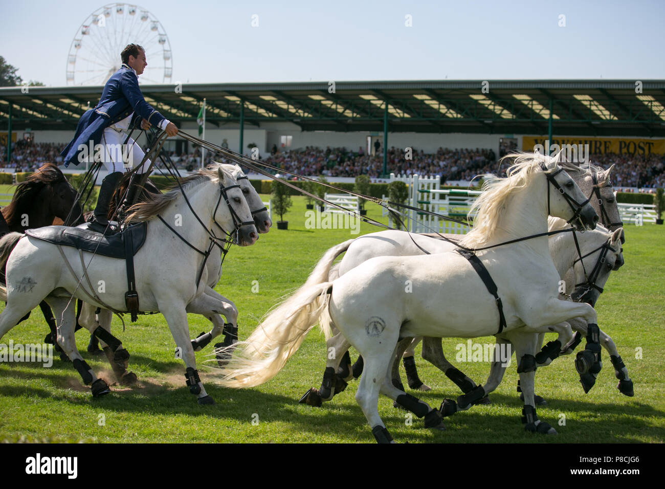 Harrogate, Großbritannien. 10. Juli 2018. Die Teilnehmer während des Großen Yorkshire Tag zeigen 2018 gesehen. Die großen YORKSHIRE zeigen Juli, 2018 Die Große Yorkshire Show ist eine legendäre dreitägige Veranstaltung und eine der größten landwirtschaftlichen Veranstaltungen in der englischen Kalender. Jedes Jahr werden mehr als 130.000 Besucher und über 8.500 Tiere laufen auf der großen Yorkshire Showground in Harrogate zu konkurrieren, Kontakte knüpfen und Feiern. Credit: Rahman Hassani/Alamy leben Nachrichten Stockfoto