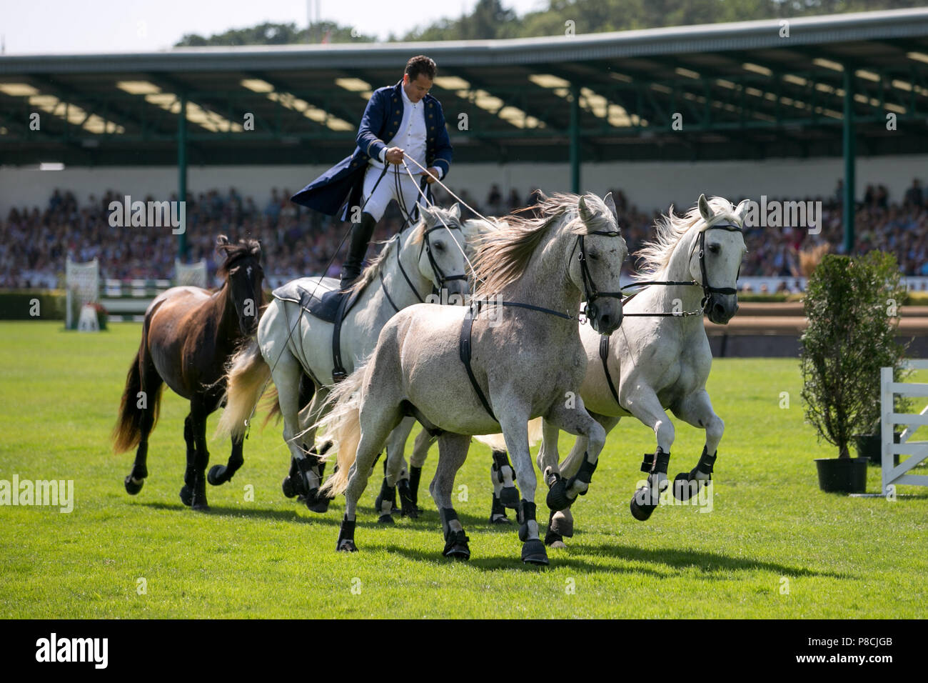 Harrogate, Großbritannien. 10. Juli 2018. Die Teilnehmer während des Großen Yorkshire Tag zeigen 2018 gesehen. Die großen YORKSHIRE zeigen Juli, 2018 Die Große Yorkshire Show ist eine legendäre dreitägige Veranstaltung und eine der größten landwirtschaftlichen Veranstaltungen in der englischen Kalender. Jedes Jahr werden mehr als 130.000 Besucher und über 8.500 Tiere laufen auf der großen Yorkshire Showground in Harrogate zu konkurrieren, Kontakte knüpfen und Feiern. Credit: Rahman Hassani/Alamy leben Nachrichten Stockfoto