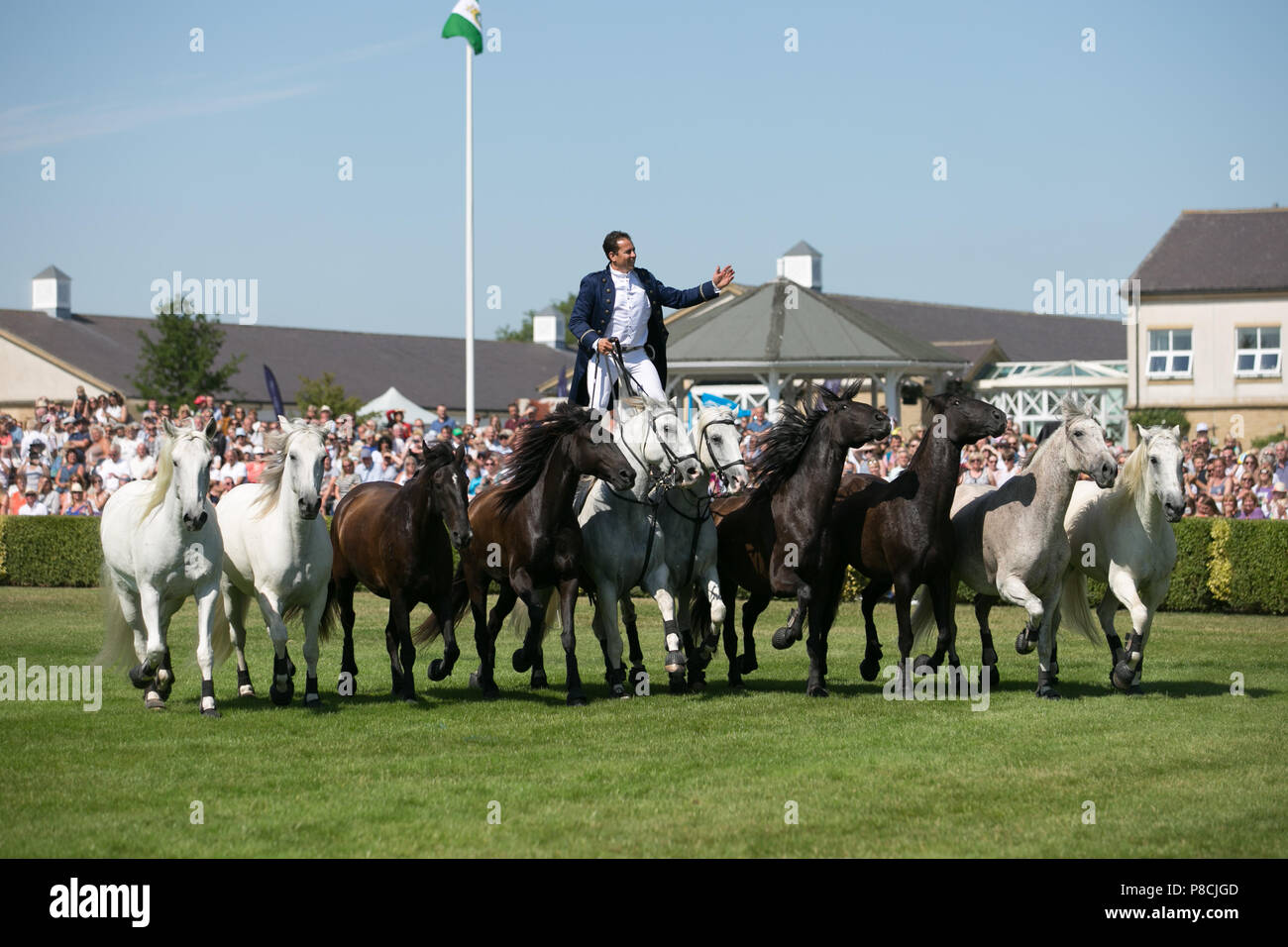 Harrogate, Großbritannien. 10. Juli 2018. Die Teilnehmer während des Großen Yorkshire Tag zeigen 2018 gesehen. Die großen YORKSHIRE zeigen Juli, 2018 Die Große Yorkshire Show ist eine legendäre dreitägige Veranstaltung und eine der größten landwirtschaftlichen Veranstaltungen in der englischen Kalender. Jedes Jahr werden mehr als 130.000 Besucher und über 8.500 Tiere laufen auf der großen Yorkshire Showground in Harrogate zu konkurrieren, Kontakte knüpfen und Feiern. Credit: Rahman Hassani/Alamy leben Nachrichten Stockfoto